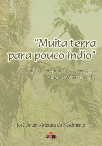 “Muita terra para pouco índio” - Ocupação e apropriação dos territórios Kaingang da Serrinha/RS - ESGOTADO